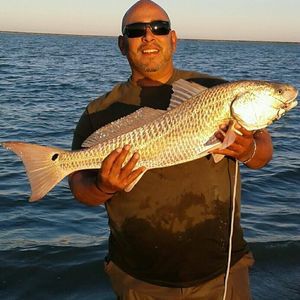 Meet your Posher, Orlando